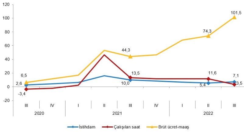 tuik-istihdam-2022-3-ceyrek